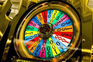 pedro4d live blackjack table with multi-camera feed and real-time betting interface on mobile